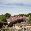 Puy du fou scolaire