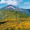 Puymary